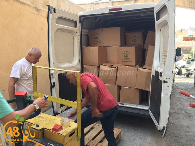 torold yaffa (1).jpg